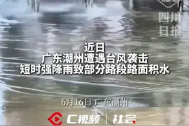 台风天男子爆改大轮车辆上路发视频被大量网友举报，当事人回应：车被交警扣了。#搞笑 #抽象视频封面