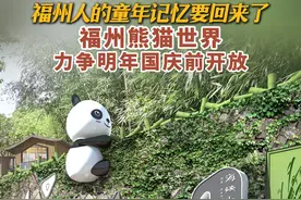 福州熊猫世界力争明年国庆前开放 福州人的童年记忆要回来了！福州熊猫世界力争明年国庆前开放！（记者 李锦清 剪辑 芦懿）#福州熊猫世界何时开放 #巴斯入闽40周年 #福州 #福州熊猫世界