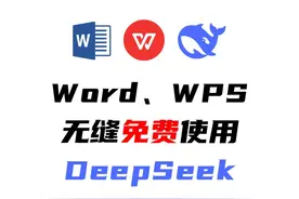 在Word、WPS中无缝、免费使用DeepSeek 这才是在Word、WPS中无缝视频封面