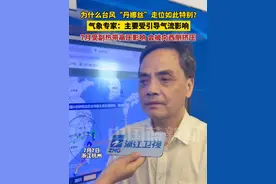 为什么台风“丹娜丝”走位如此特别？气象专家：主要受引导气流影响，7月受副热带高压影响 会被向西侧挤压。