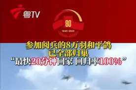 阅兵活动结束后，放飞的8万羽和平鸽已全部归巢。据了解，本次征集的8万羽和平鸽，全部来自北京市10个区的鸽友们，鸽友杨先生称其40羽鸽“回归率 100%”，距天安门约25公里处最快20分钟归巢，最晚于当日18时许到家。（九派新闻）