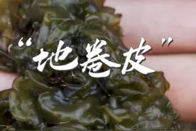 这个真的是大自然的馈赠，下雨之后的石头上都是这个菜，捡的时候笑哈哈，洗的时候喊妈妈，你吃过吗？#大自然的馈赠#我的乡村生活#野菜#又到了吃野菜的季节#把家乡的味道分享给大家视频封面