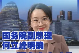 国务院副总理何立峰明确！保交房大动作，重磅利好！ #楼市 #保交楼 #住房 #热点新闻事件视频封面