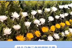 女儿守孝三年的规矩是什么？ #传统文化 #知识 #老六师傅