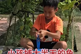 一个人生活的小凯真是太辛苦啦，每天辛勤捕鱼还要到街上去售卖视频封面