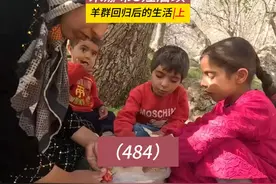 老牧羊人给米娜送酸奶！米娜纪录片后续484集，米娜新生活（上）视频封面