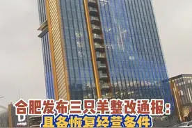 合肥发布三只羊整改通报：具备恢复经营条件，足额缴纳罚款6894.95万，月饼、牛肉卷共退赔2777.85万视频封面
