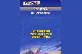 突然！大反转，稀土ETF涨超9%视频封面