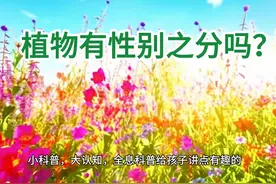 植物有性别之分吗？ #科普一下 #科普 #知识科普 #自然科普视频封面