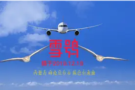 雪鸮（白猫头鹰）视频封面