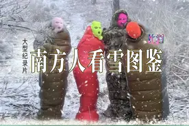 【又到了一年一度北方人看南方人玩雪的时候视频封面