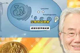 空腹力的奇迹 诺奖得主研究成果:保持“空腹力”,更健康视频封面