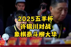 2025五羊杯 许银川对战象棋泰斗柳大华 #象棋 #许银川 #象棋高手视频封面