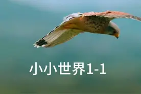 神奇大自然纪录片 #万物生长 #神奇大自然纪录片 #神奇动物在抖音视频封面
