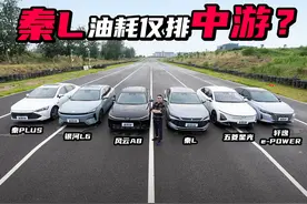 10万级混动车大横评！秦L油耗只排中游？风云A8是大惊喜？视频封面