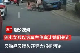 俩小女孩以为车主停车让她们先走 又鞠躬又磕头还竖大拇指感谢 车主：被逗乐了，当时应该去给红包的（素材来自：@小汤哥 ）