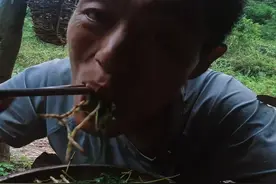 “七星山杯”荒野求生决赛第40天
  仅剩两人角逐10万奖金！
湖南选手杨东东物资丰富
“反正有杰瑞肉和螃蟹吃 休息躺平”
王大力两天“打野”收获欠佳
靠吃野菜、折耳根填饱肚子#七星山杯 #七星山杯荒野求生挑战赛