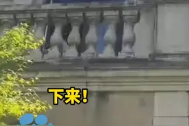 5月12日，长沙别墅代孕窝点查处现场，涉事医生翻墙逃跑被追回“丢弃被麻醉人员，良心何在！”