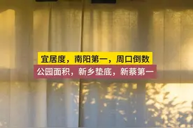 宜居城市，南阳第一，周口垫底；公园面积，新乡倒数第一 #河南视频封面