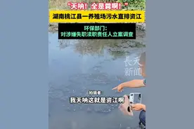 “天呐！全是粪啊！”，湖南桃江县一养殖场污水直排资江，环保部门：对涉嫌失职渎职责任人立案调查#湖南dou知道  #污水  #养殖场  #资江视频封面