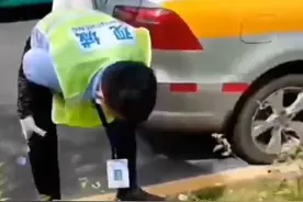 女子科目三考试把安全员开吐了，拍摄者：因新规定要频繁停车导致视频封面
