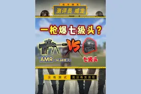精制弹头AMR能一枪爆七级头？ #地铁逃生