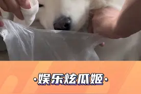 原来不晕车的人是闻不到车上味道的 #冷知识 #晕车 #内容过于真实视频封面