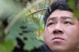 野生猕猴桃熟了，每年都得泡两坛酒，猕猴桃泡椒，果香和酒香的完美融合，去年的都还没有喝完，今年的又泡上了，根本喝不完...#新农人计划2024 #乡村生活家 #农村美食 #记录真实生活 #猕猴桃泡酒视频封面