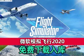 昨天有老铁说想玩模拟飞行2020今天安排上了 Microsoft Flight视频封面