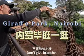 环球旅行1910天：大家逛一逛内罗毕，晚上蔡哥，珍姐请吃大餐视频封面