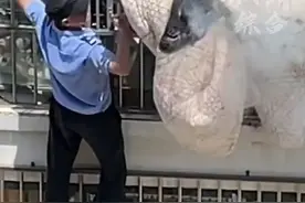 5月3日，#湖北孝感 ，疑似楼上扔烟头致楼下棉被起火，因家中无人，保安徒手爬窗将着火棉被扔下。#太可怕了 #高空抛物 #湖北dou知道 视频封面