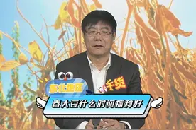 东北地区春大豆什么时间播种好？ #大豆  #来抖音学农技视频封面