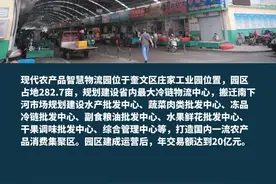奎文区明确，新兴制造业和高端服务业两大发展引擎，其中涉及到潍坊南下河市场搬迁新址：现代农产品智慧物流园。#潍坊潍坊 视频封面