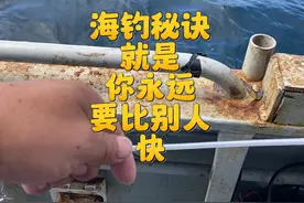 海钓的秘籍就是 你永远要比别人快 #海钓船钓 #海钓鳕鱼