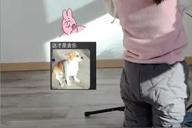 1月9日（发布），辽宁 萌娃沉浸式拉小提琴，狗狗一旁陪伴 你“学成之后千万不要忘记你的练琴搭子” 狗子：你要知道，在你还锯木头的时候我就跟了你#狗子：你要知 #萌娃 #萌娃日常 @放荡不羁笑点低视频封面