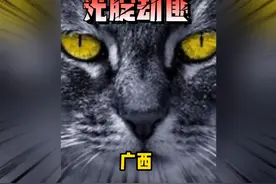第一次见到笑得这么开心的受害人，来看一下这史上第一光腚劫匪。视频封面