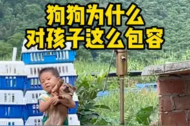 #被萌娃和狗狗治愈了 #狗子带娃 #宝宝与狗狗狗子为什么对宝宝格外包容@DOU+上热门 @抖音创作者中心 @抖音热点宝视频封面