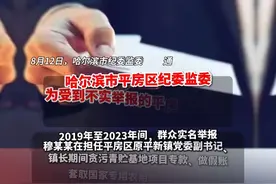 #哈尔滨 市纪委监委为四名受到不实举报官员#澄清正名 #官方通报视频封面