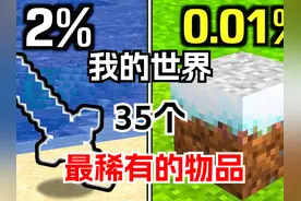 我的世界：35个最稀有的物品#我的世界 #mc