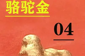 国权风流滩里摆下五女阵，再次考验黄金缉私队 #陕普解说