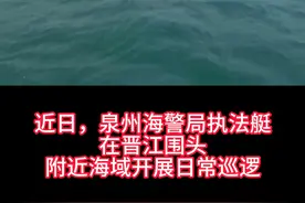 泉州海警海上偶遇成群中华白海豚 （泉州海警局 何志伟；编辑：郑祥权）视频封面