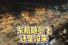 我还是没等来东航的随心飞 可惜了#随心飞 #东航 #机票羊毛视频封面