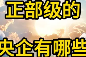 正部级的央企有哪些视频封面