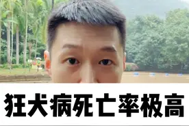 狂犬病死亡率极高，一定要正确预防 #硬核健康科普行动视频封面
