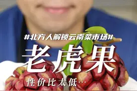 这水果……来云南旅游的千万别好奇！ #云南美食 #奇葩水果 #老虎果 #试吃视频封面