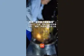 探访“全球最大蟑螂基地”：220亿只“小强”住星空房吃营养餐  为防 “越狱”四周水沟养着大鱼