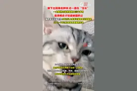76岁的王奶奶，腋下出现莫名肿块，还一直在“生长”。2月4日，前往扬州市第三人民医院结核科就诊，被确诊为猫抓病。提醒：宠物虽好，也要注意防护。视频封面