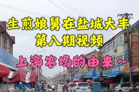 一个视频看懂为什么在江苏盐城有块上海飞地，当时这里一片荒芜