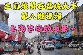 一个视频看懂为什么在江苏盐城有块上海飞地，当时这里一片荒芜视频封面