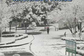 秀山迎来初雪！#重庆秀山 #第一场雪如期而至 #我的城市下雪啦 #南方的雪视频封面